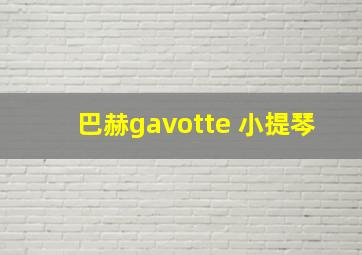 巴赫gavotte 小提琴